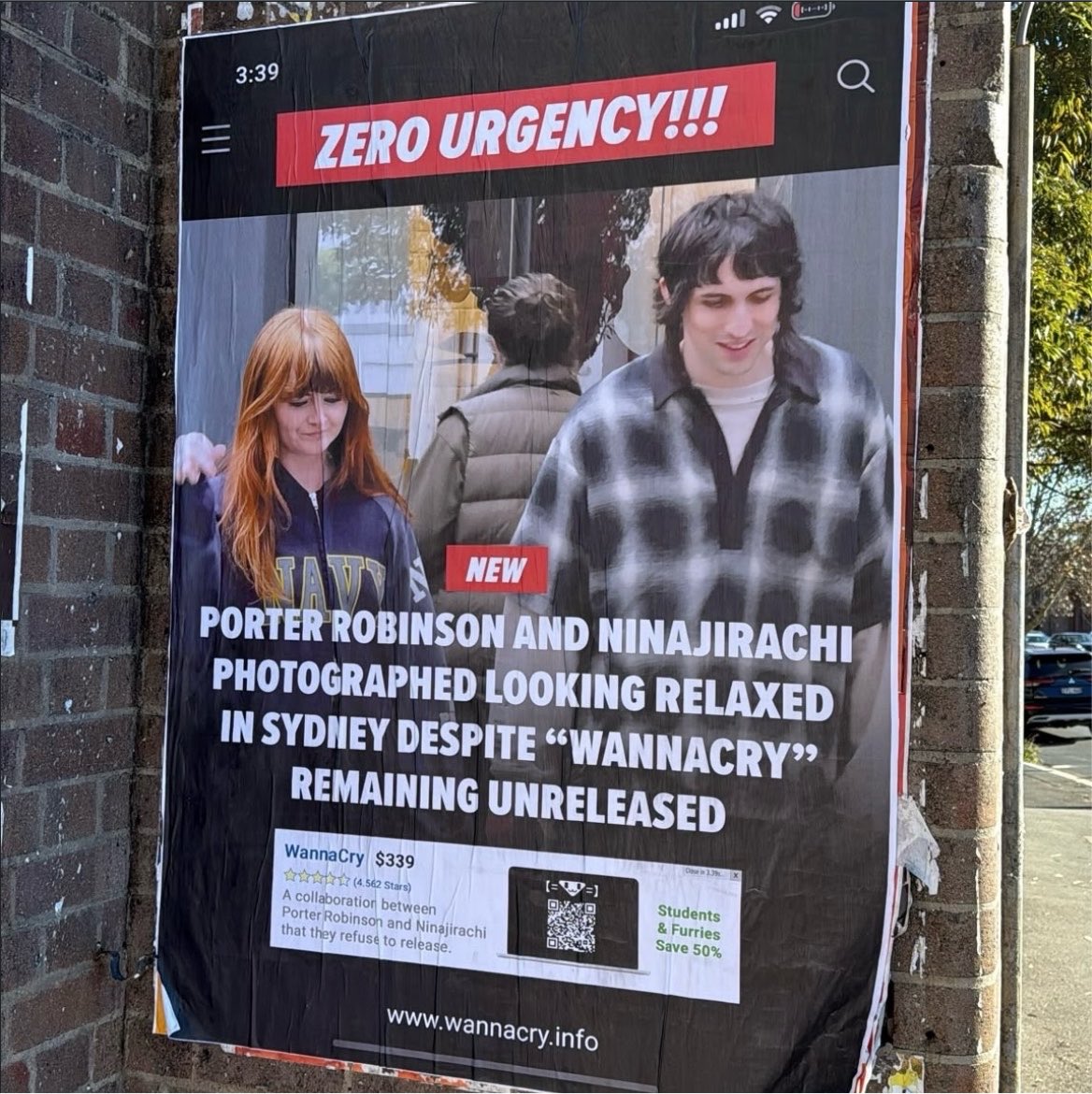 ⋆˙⟡ alex tweet media