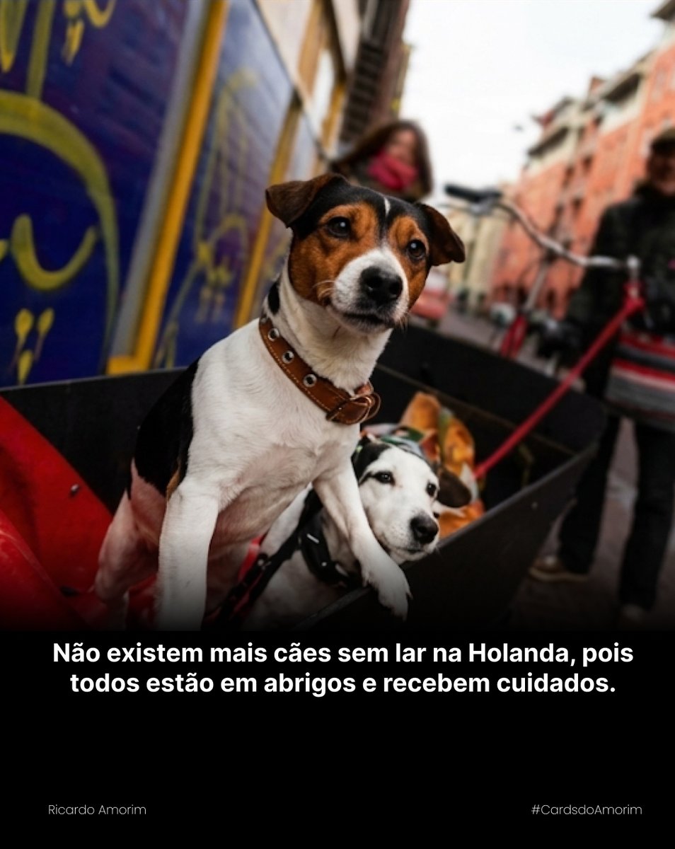 Ricamconsult's tweet photo. 2/3 https://t.co/N9NoenZsxL