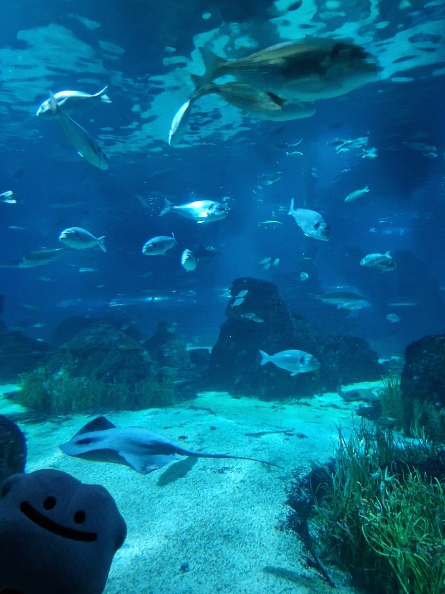 Rimya_'s tweet photo. Feesh !! :) https://t.co/YOFKb9jFEk