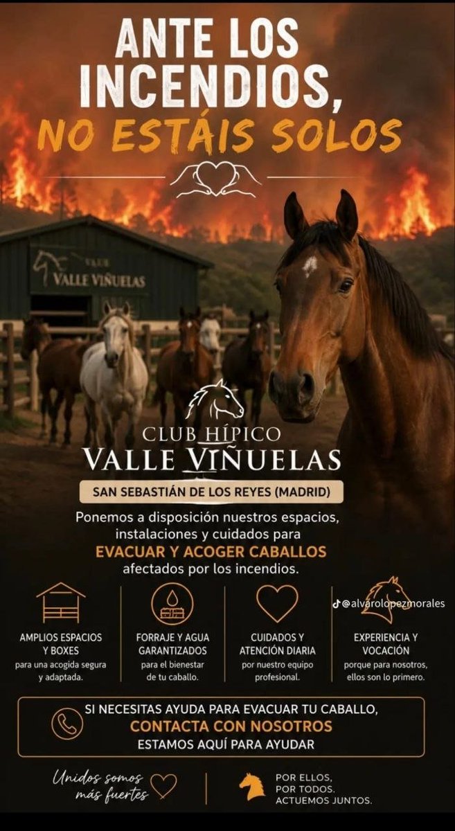 quesada_josefa's tweet photo. https://t.co/mj6KDVQgAs