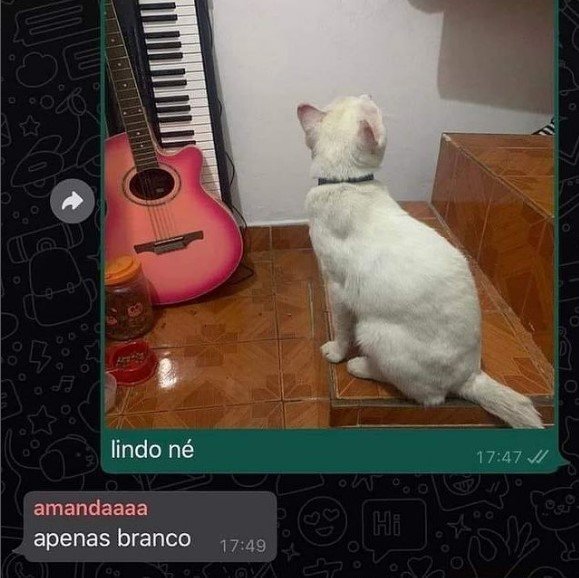 dykesence's tweet photo. o butchfemmetwt hoje https://t.co/rbnScbcadv