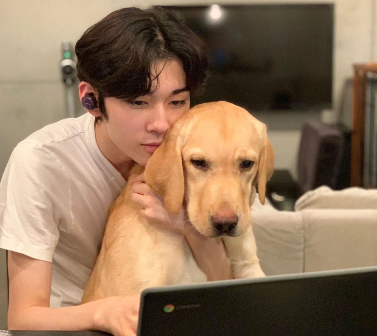 retrieverlcgin's tweet photo. 【取材】1日の始まりは温めたヤギミルク200ccから。15歳のノア、そのルーティーンには長寿のヒントがたくさん　#5ノア

＜記事を公開中！＞

10歳を超えても元気なレトリーバーを憧れと敬意を込めて“レジェンドレトリーバー”と呼んでいるRetriever life。… https://t.co/ypgRfLQHDV