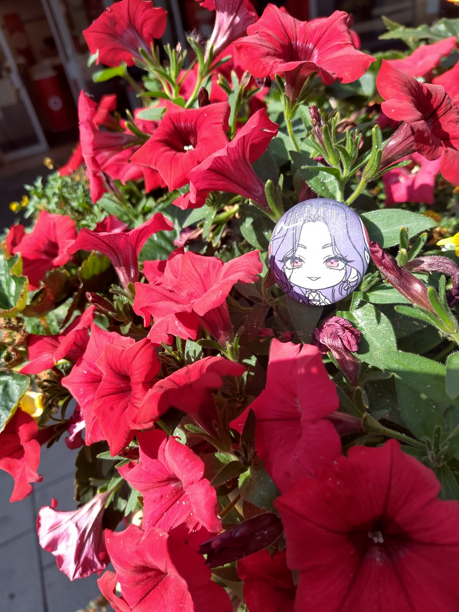 DanyPMK's tweet photo. Dear Scarle, from #Flowers4Scarle : https://t.co/qefJl33eF7