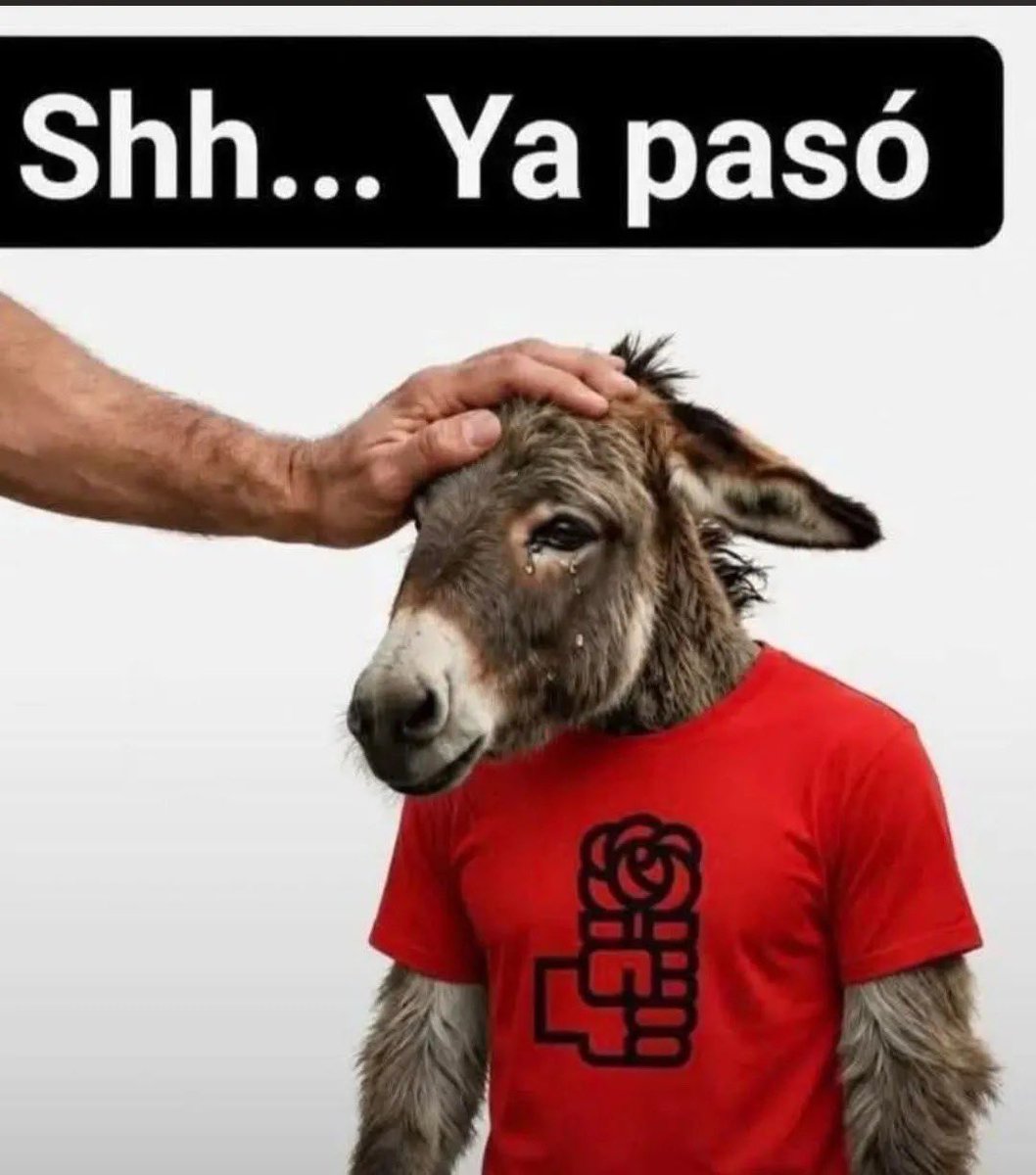 IsabelHidalgoG5's tweet photo. @raquelcanon @AntonioRNaranjo @oscar_puente_ https://t.co/JcxVDeeOV4