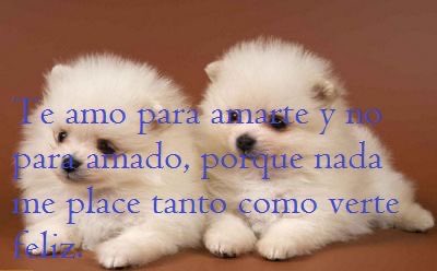 ໊ tweet media