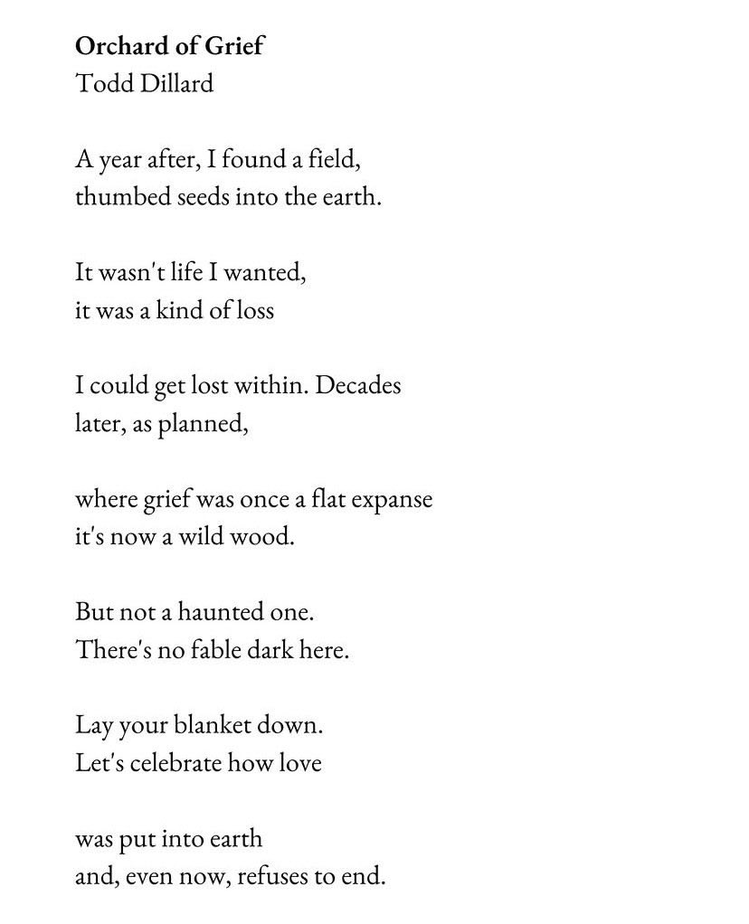 poem  ppl are liking this poem elsewhere so thought I'd share it here too