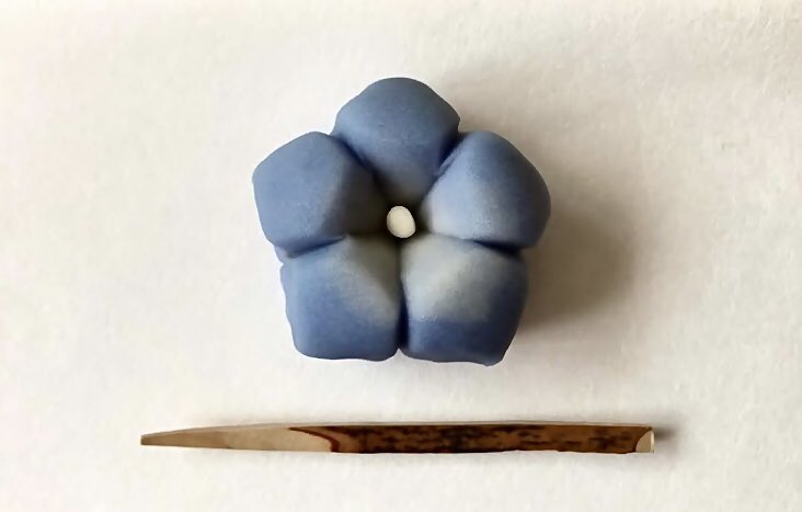 choh_u's tweet photo. 文月廿五日の朝茶。
菓子、榮久堂『ききょう』。

#茶道　#茶の湯　#抹茶　#和菓子　#桔梗 https://t.co/JBGOUlelBj