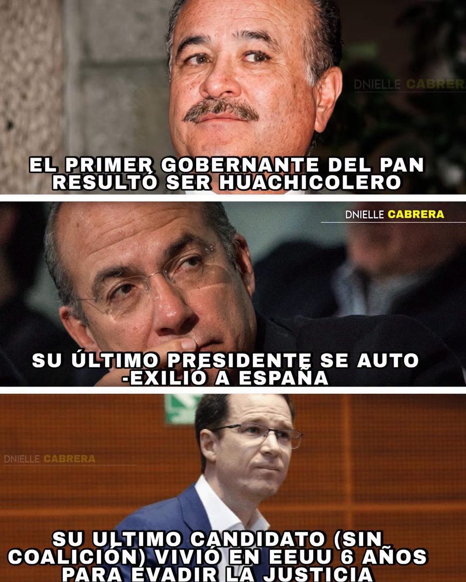 DnielleCabrera's tweet photo. El PAN es el verdadero n4rk0-partido en el que han estado las peores fichitas de la política, le duela a quien le duela. https://t.co/70zQlAahFu