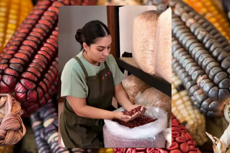 animalgourmet's tweet photo. Xóchitl Valdés: La chef mexicana premiada por Michelin, la nueva cara de la gastronomía yucateca, una mujer que le da valor al maíz y a quienes lo cultivan.

https://t.co/zg9Lfmqg5z
#Chefmexicana #Michelin2026 #AnimalGourmet #maíznativomexicano https://t.co/FSlzzlZze2