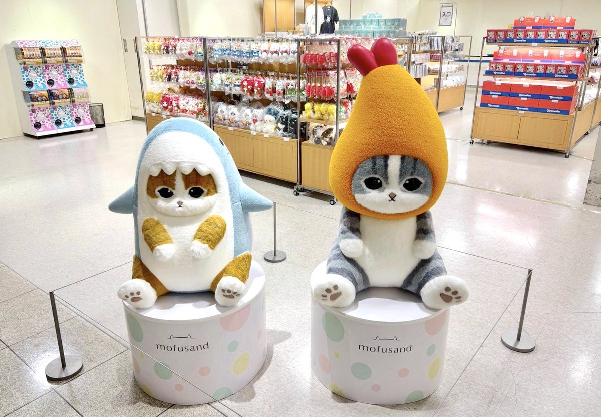 mofusandグッズ公式 (@mofusand_kouhou) / Posts / X mofusandグッズ公式 (@mofusand_kouhou) / Posts / X