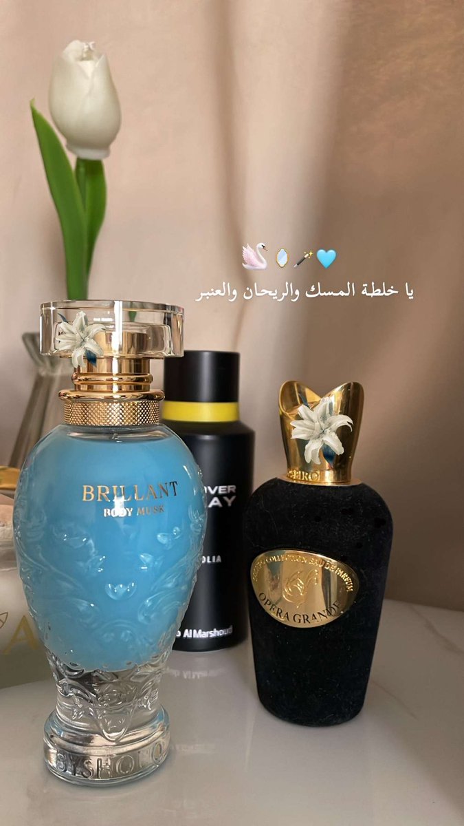 Meej95_'s tweet photo. 🩵🪞🪄🦢🫧
يا خلطـة المسـك و الريحـان والعنـبر ⏦∙•❣️ https://t.co/j8J0HAV1wC
