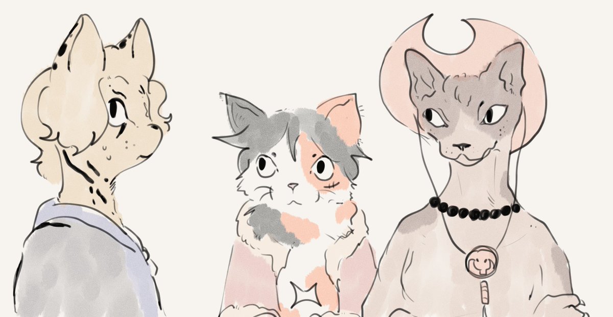 luffypregnancy's tweet photo. Let's all be domesticated cats and not tell Sabo https://t.co/vmCPptTOOt