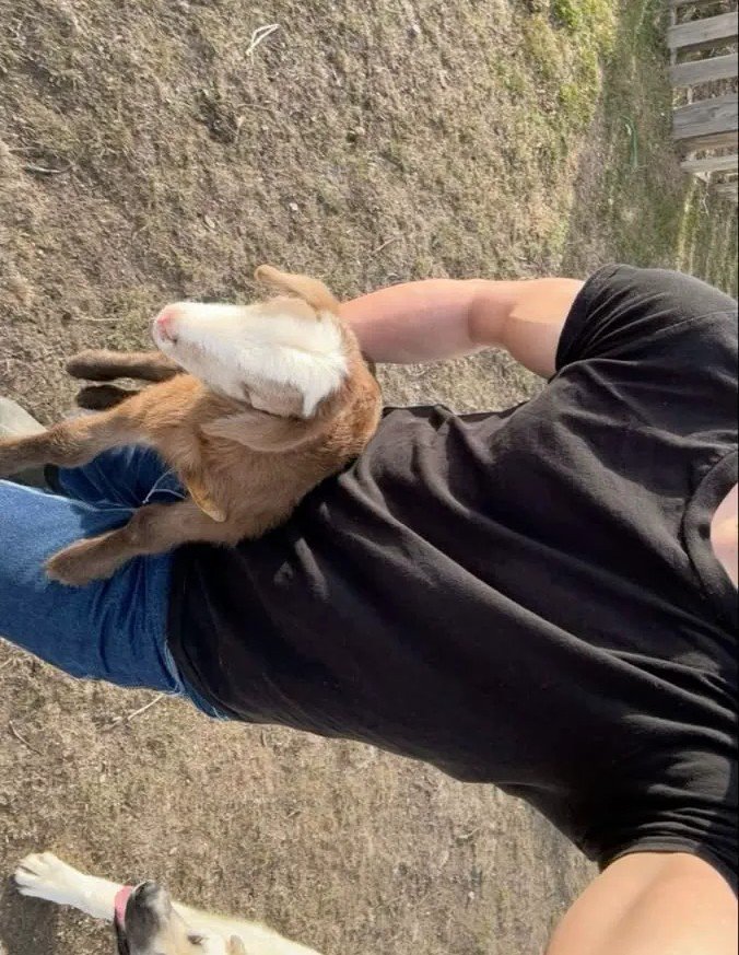 imnotsleeping_'s tweet photo. AU #Brimiga
Donde 🍓, un whitemexican que vive en
USA, hereda un terreno de sus padres y decide mudarse a México para administrarlo.
Conoce a 🐜, el nuevo un practicante de veterinaria que está realizando
su servicio social en el rancho y 🍓 simplemente no puede soportarlo. https://t.co/TmPGlTuAJ1