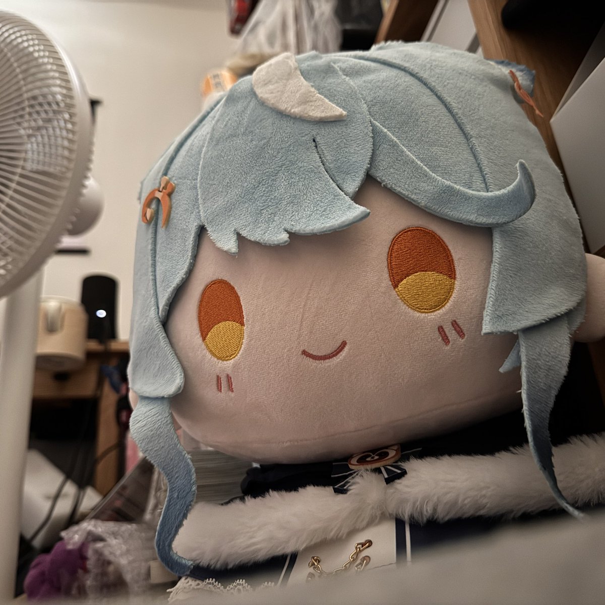 matcha_koocha's tweet photo. 突然想到我枕芯再搬回台北的時候就丟在台南了
所以昨天只有這個陪我睡覺，早安阿雷～
#看這狸 https://t.co/VhyNmpHGGU