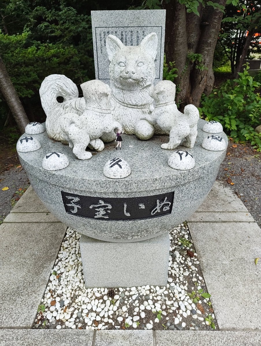 ishikawa619's tweet photo. こんにちは
おりんさんと
小樽観光🐾🐾🐾
#おりんさんぽ https://t.co/joDmFxXlb6