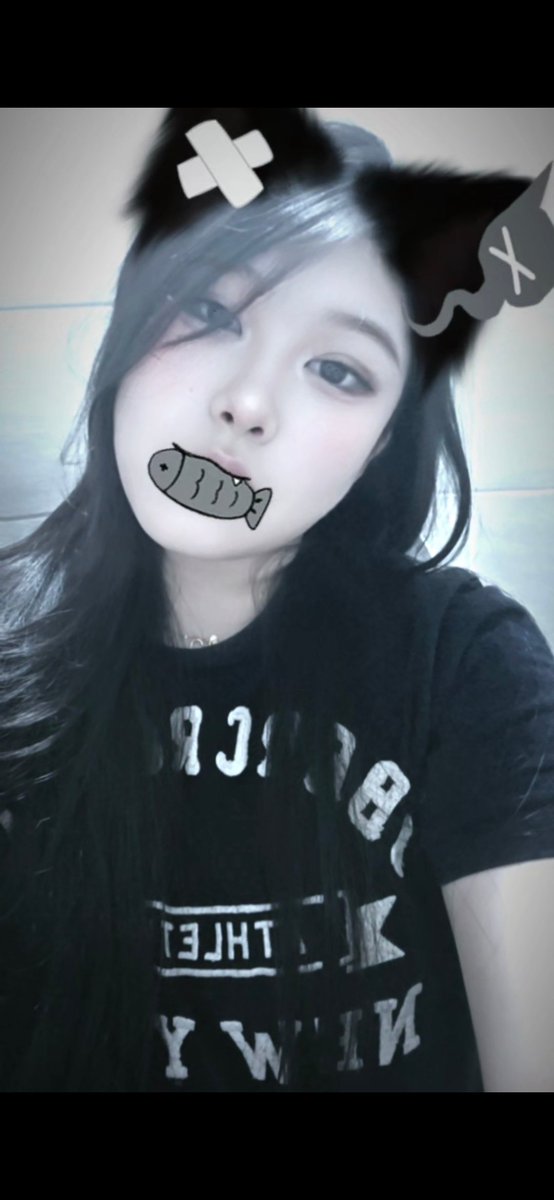 고식이(식혜먹는고양이) tweet media