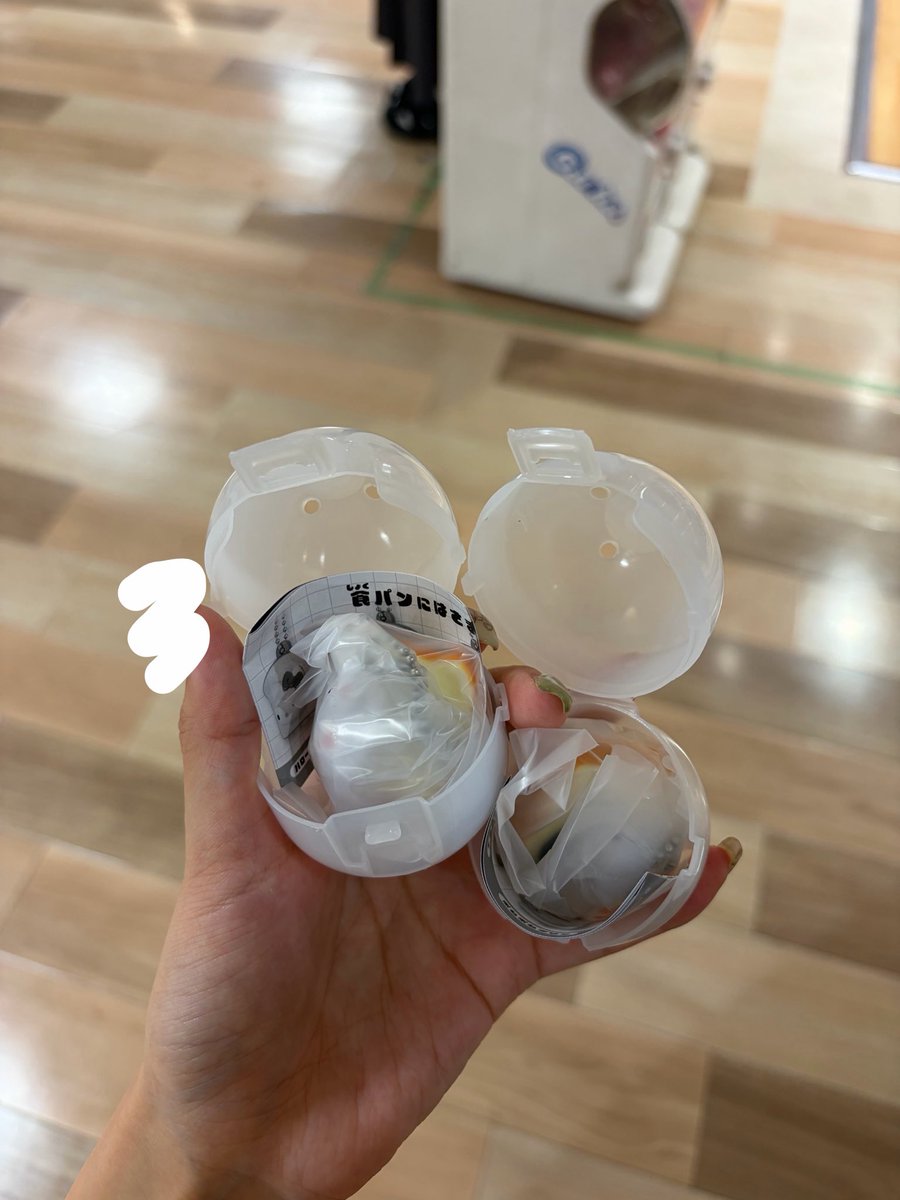 achan____01's tweet photo. しょくぱんず　サンリオ　ガチャ　交換

【譲】ポチャッコ、はなまるおばけ

【求】シナモロール シナモン

本日梅田、心斎橋、天王寺付近にて手渡し可能🎀
後日大阪市内可能

お気軽にお声がけください^_ https://t.co/HtYSfBrIOb