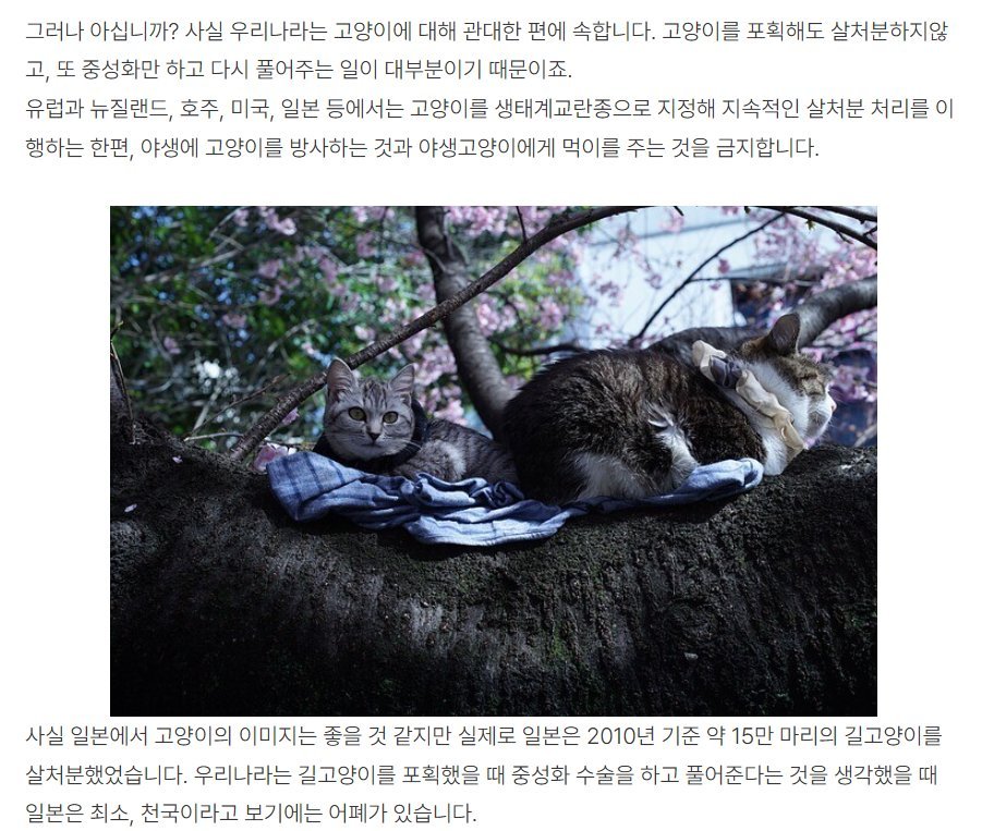 saeutang96346's tweet photo. 앵간한 선진국들은 2000년대 이후로 다 길고양이를 살처분하거나 밥주는거 벌금 물리면서 개체수 조절하고 있는데 오히려 한국만 눈치보면서 못하고 있는걸 이제 시작하려니까 혐오니 뭐니 꼴값ㅋㅋㅋㅋㅋㅋㅋㅋ 전 세계가 혐오국가다!! ㅋㅋㅋㅋㅋㅋㅋ https://t.co/ptn3eP4Itw