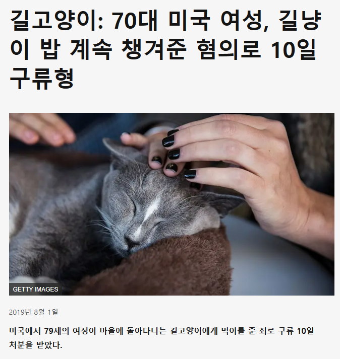 saeutang96346's tweet photo. 앵간한 선진국들은 2000년대 이후로 다 길고양이를 살처분하거나 밥주는거 벌금 물리면서 개체수 조절하고 있는데 오히려 한국만 눈치보면서 못하고 있는걸 이제 시작하려니까 혐오니 뭐니 꼴값ㅋㅋㅋㅋㅋㅋㅋㅋ 전 세계가 혐오국가다!! ㅋㅋㅋㅋㅋㅋㅋ https://t.co/ptn3eP4Itw