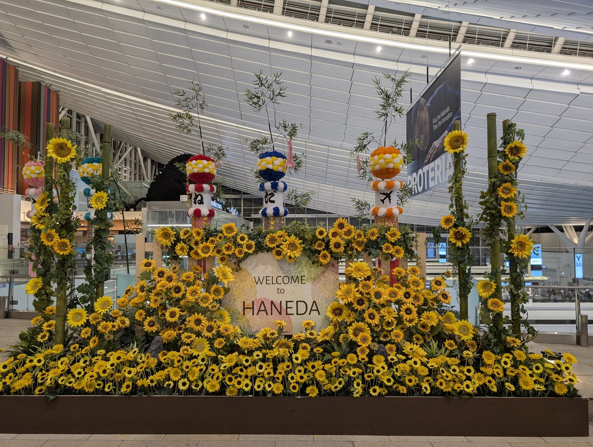 BearTaipei's tweet photo. 羽田空港発、台北へ帰ります！またね、日本🇯🇵✨
#Japan #Tokyo #HanedaAirport #Travel #Taipei https://t.co/m363bA4smY