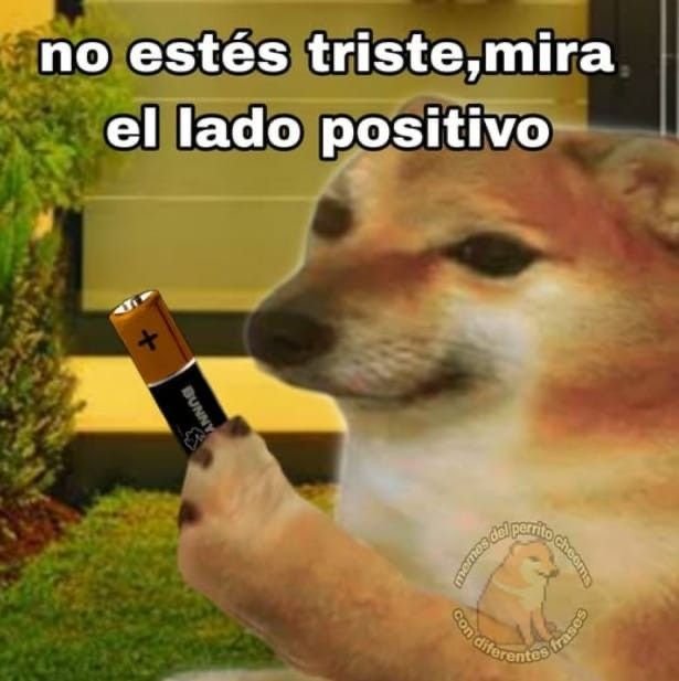 Fachero tweet media