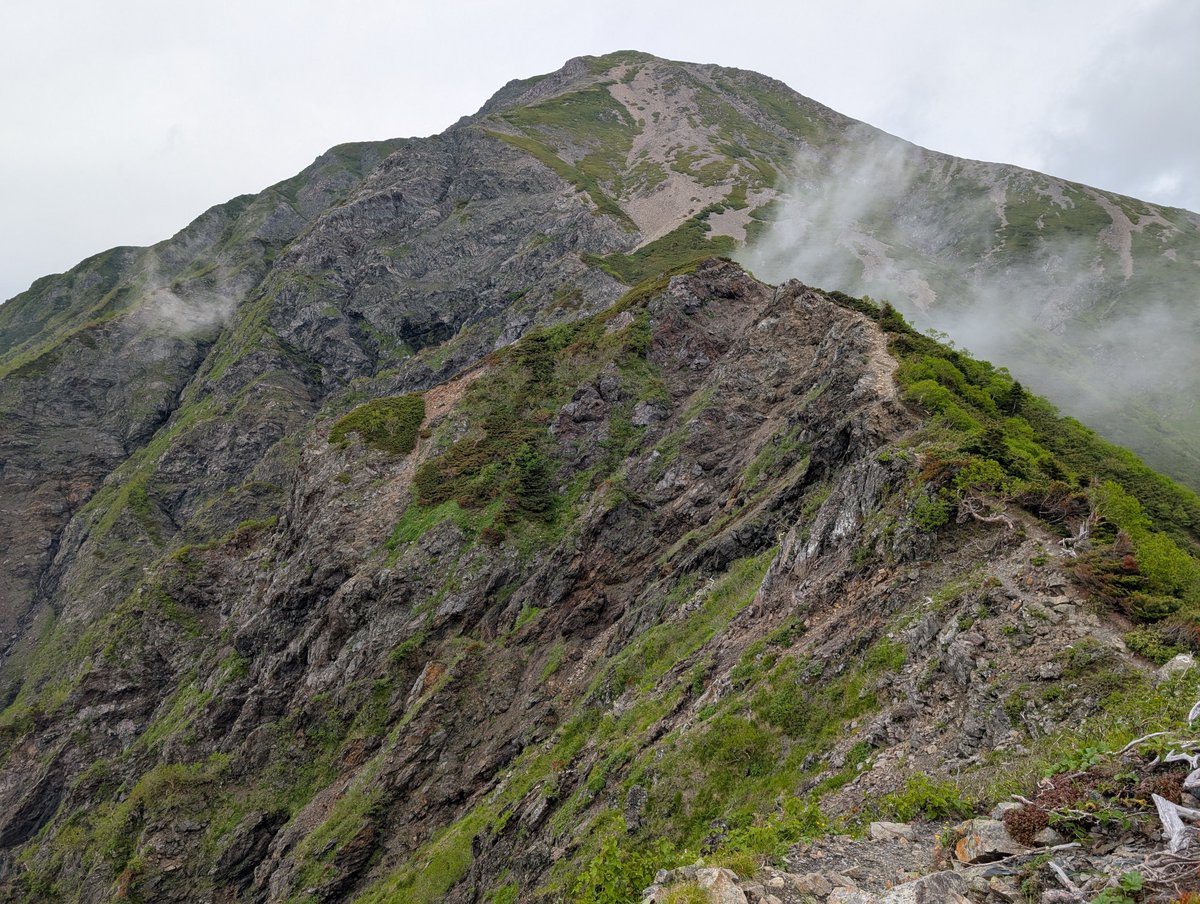 ugusu2's tweet photo. 聖岳、光岳から永遠に続く縦走の果てにたどり着いたので山頂でひとり号泣した。 https://t.co/0aXvhoFmrY