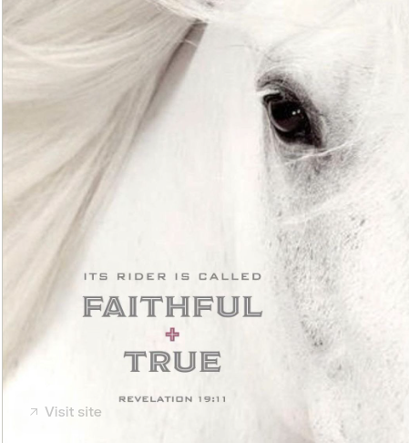 Maylene547039's tweet photo. @Gadget440 Jesus has a white horse... https://t.co/PE7dim4BV0