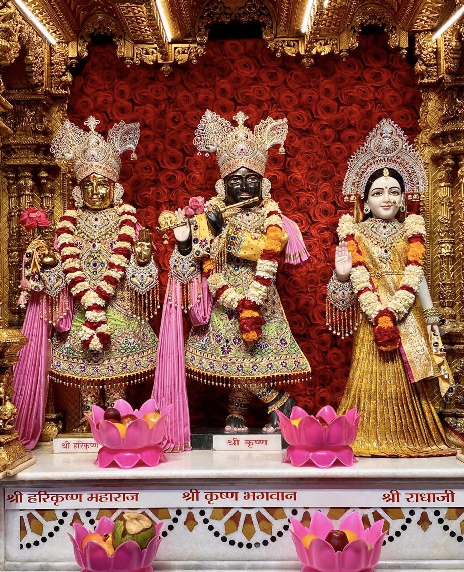 DrBpatel's tweet photo. Dev Shayani Ekadashi na Jai Swaminarayan 🙏

(Ahmedabad mandir) https://t.co/9gxRwJobmc