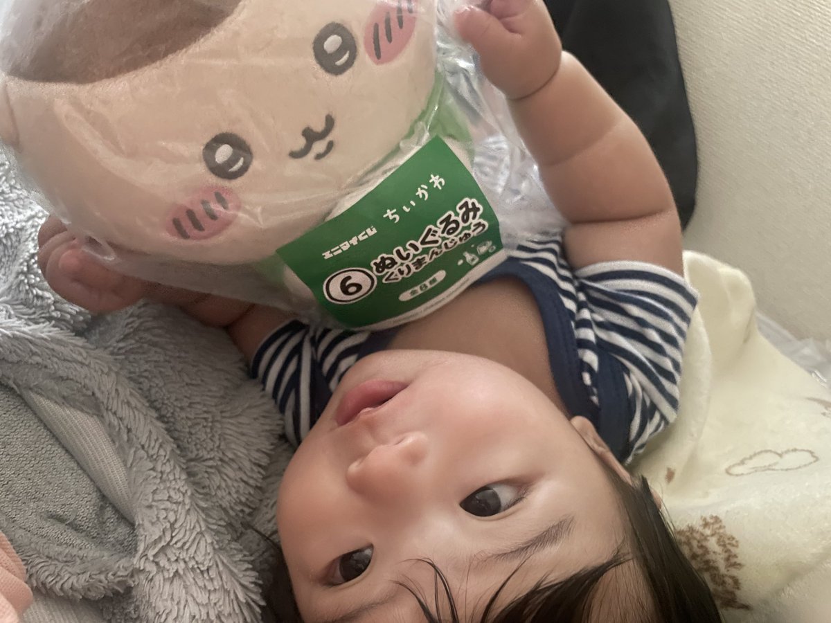 nata_0729's tweet photo. え、まじめに栗まんじゅう好きなんか？
交換やめる？取り上げんの可哀想 https://t.co/Wlc9qW3LE9