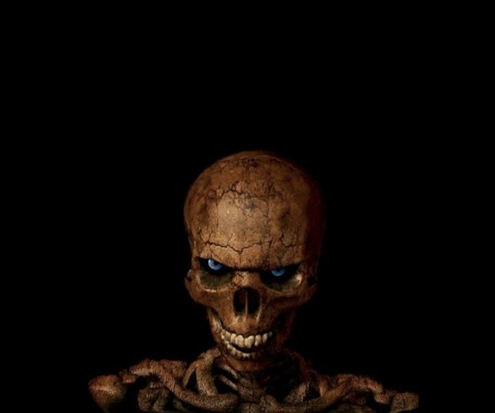 Pipper_maxing's tweet photo. @phisnoom Son https://t.co/nBK2egkcqU