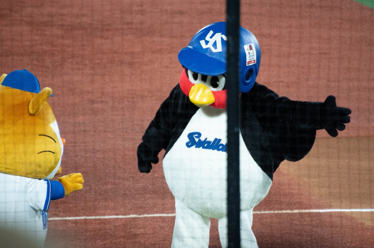 2026.7.18 つばちゃんが遊びに来てくれて楽しかった🤣最後は紳士だった