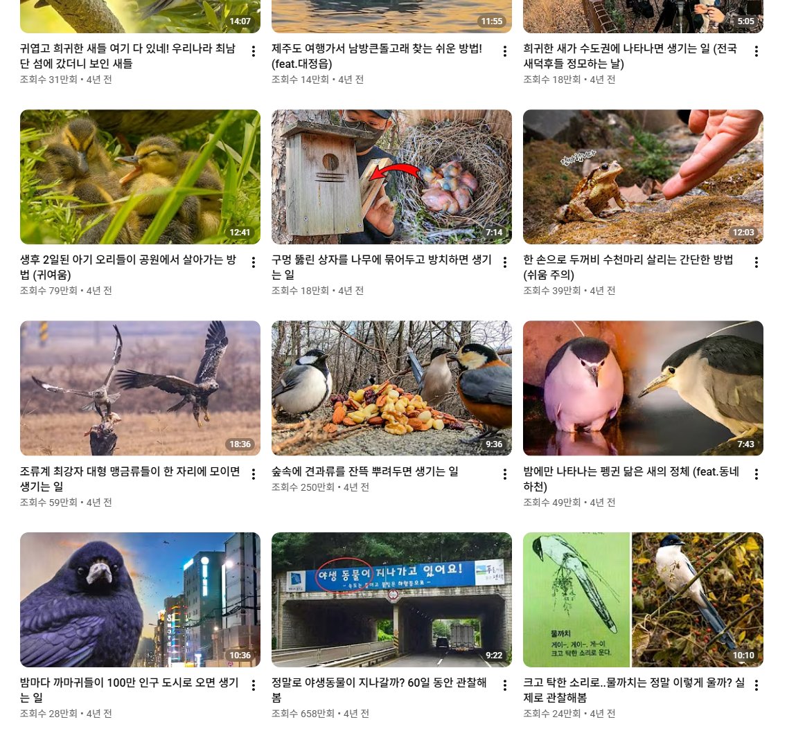 aflyingwarthog's tweet photo. @torantommyhopeb 새덕후 채널의 전성기는 4년 전~ 3년 전으로 보이는데 이때는 생계유지 이상이 가능할 조회수를 기록하고 있더라고요.  그런 중 3년 전 캣맘을 겨냥한 영상을 올리고 논란이 터진 후 조회수가 30%~50% 정도 하락한 것처럼 보이고, 2년 전에 한번 더 올렸습니다. https://t.co/5tTIhivJoA