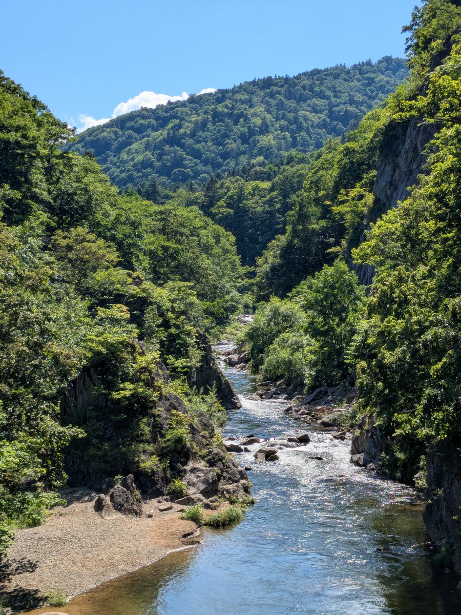 KasuizuM's tweet photo. 職場から徒歩15分の景色☺️（観光名所）
夏休みが始まり、子どもを見かける日が増えそう😆 https://t.co/07DweYhWeV