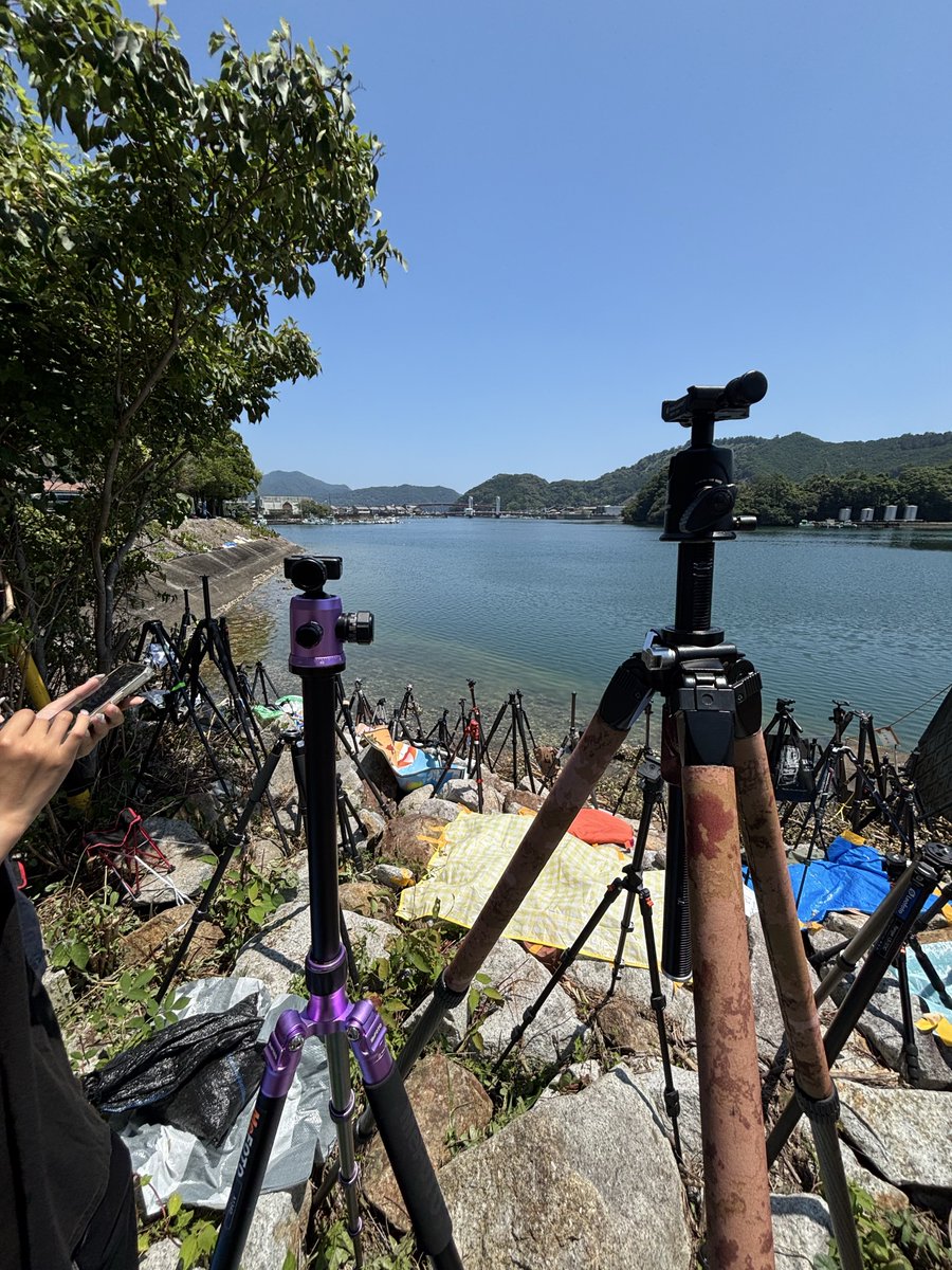 nikonz964's tweet photo. きほく灯龍祭に来ました
三脚が自生してます https://t.co/EzhKLolfqk