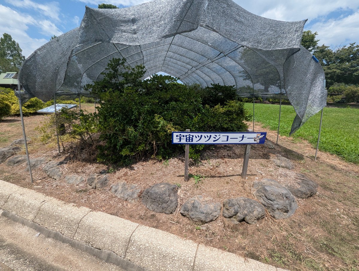 GunGunmenskai's tweet photo. コメ助くんとつつじヶ丘岡公園のお出かけ！
@komesuke_okomen https://t.co/mUxexASCtL