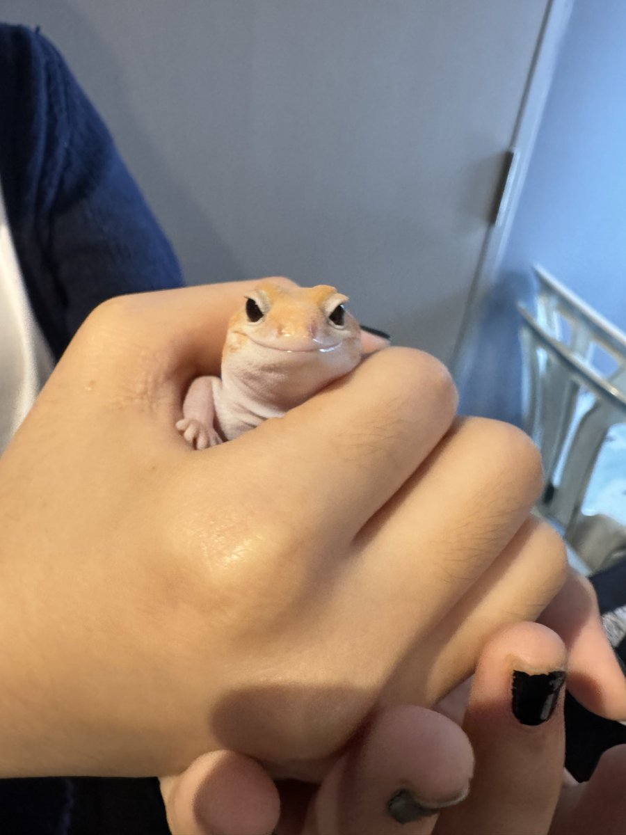 Reikhelha's tweet photo. I met gekko name sleepy ft @leaf_ritsu https://t.co/AImptVPTf3