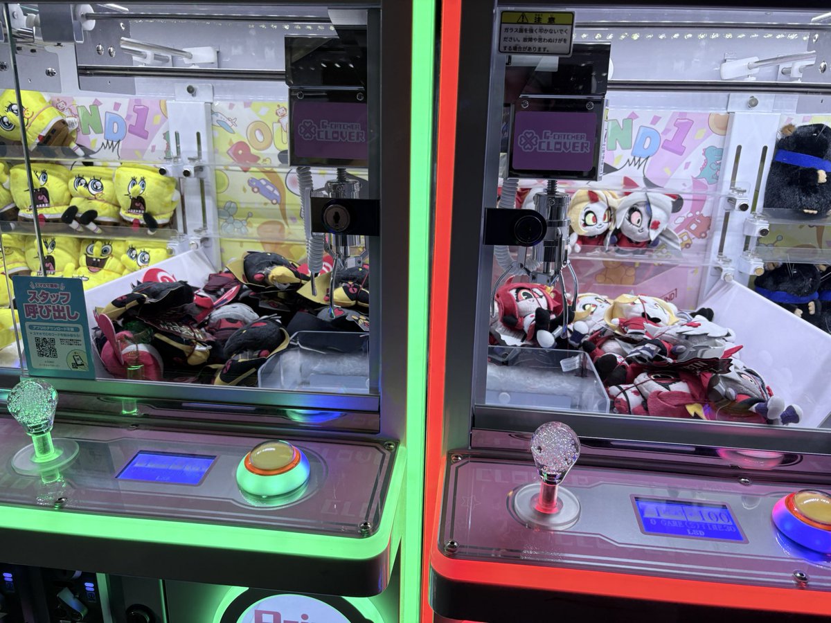 AlasTor_HBN's tweet photo. ちなみにこの子達まだいました😁 https://t.co/AdF94BUTnv