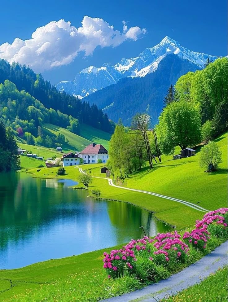 earthwhisperss's tweet photo. Summer in Switzerland ☘️🍀 https://t.co/Pn11hsgG3m