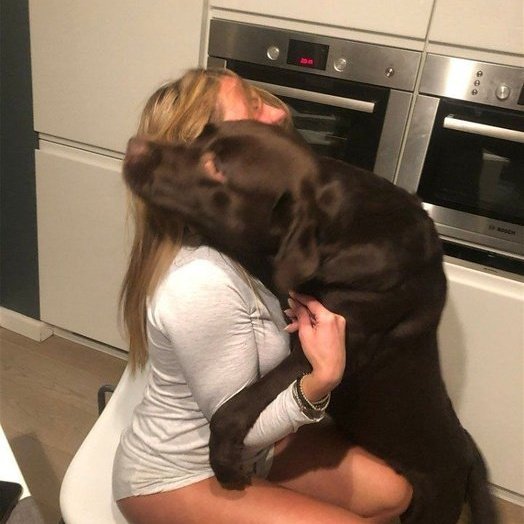 DogEatPizztzoo's tweet photo. Newest Premium Zoo Contents Made With Passion &amp; Precision😇✨🐾🥰
#dogknotting #doglovers #k9slut #aoz
#kinky #knottybitch #beast #zoophillia
Use link below HMU  to buy and gain unlimited entry to the extraordinary🔞💯
☑️VIP Channel
Tele guard ID - 6Y6L69ZA5) Zangi-4154687388 https://t.co/FQ3NktPlZo
