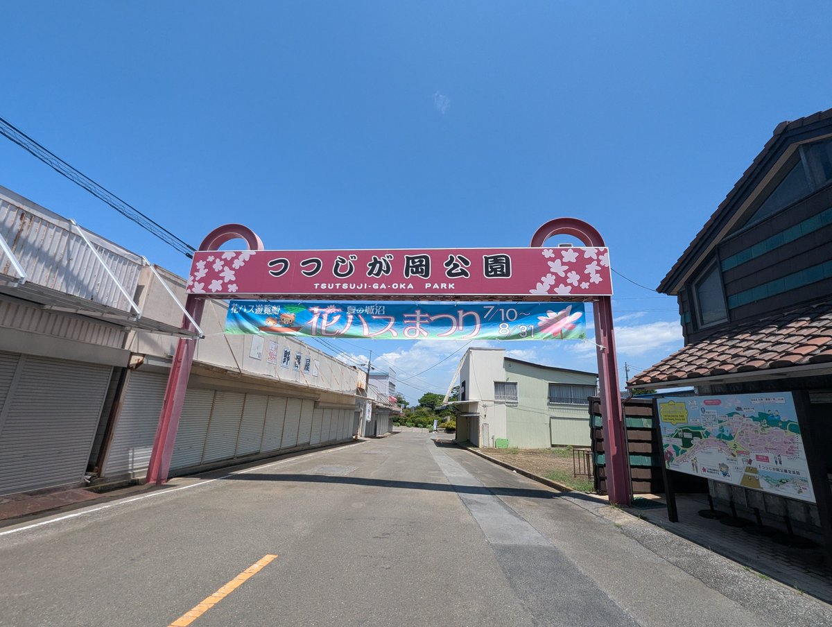 GunGunmenskai's tweet photo. コメ助くんとつつじヶ丘岡公園のお出かけ！
@komesuke_okomen https://t.co/mUxexASCtL