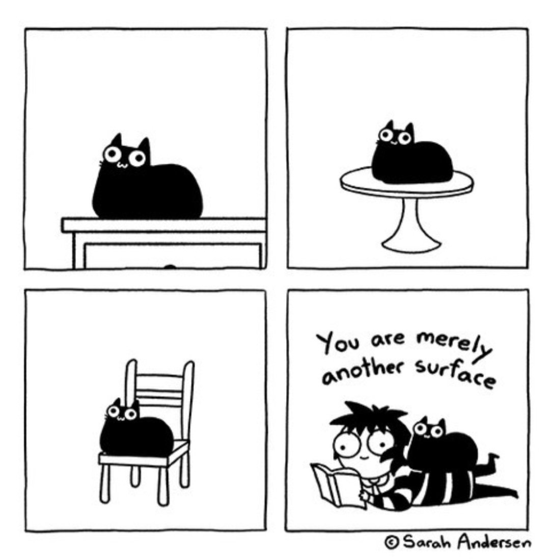 womensart1's tweet photo. Sarah Andersen, contemporary US cartoonist and illustrator  #WomensArt #Caturday https://t.co/auoWYs8RNb