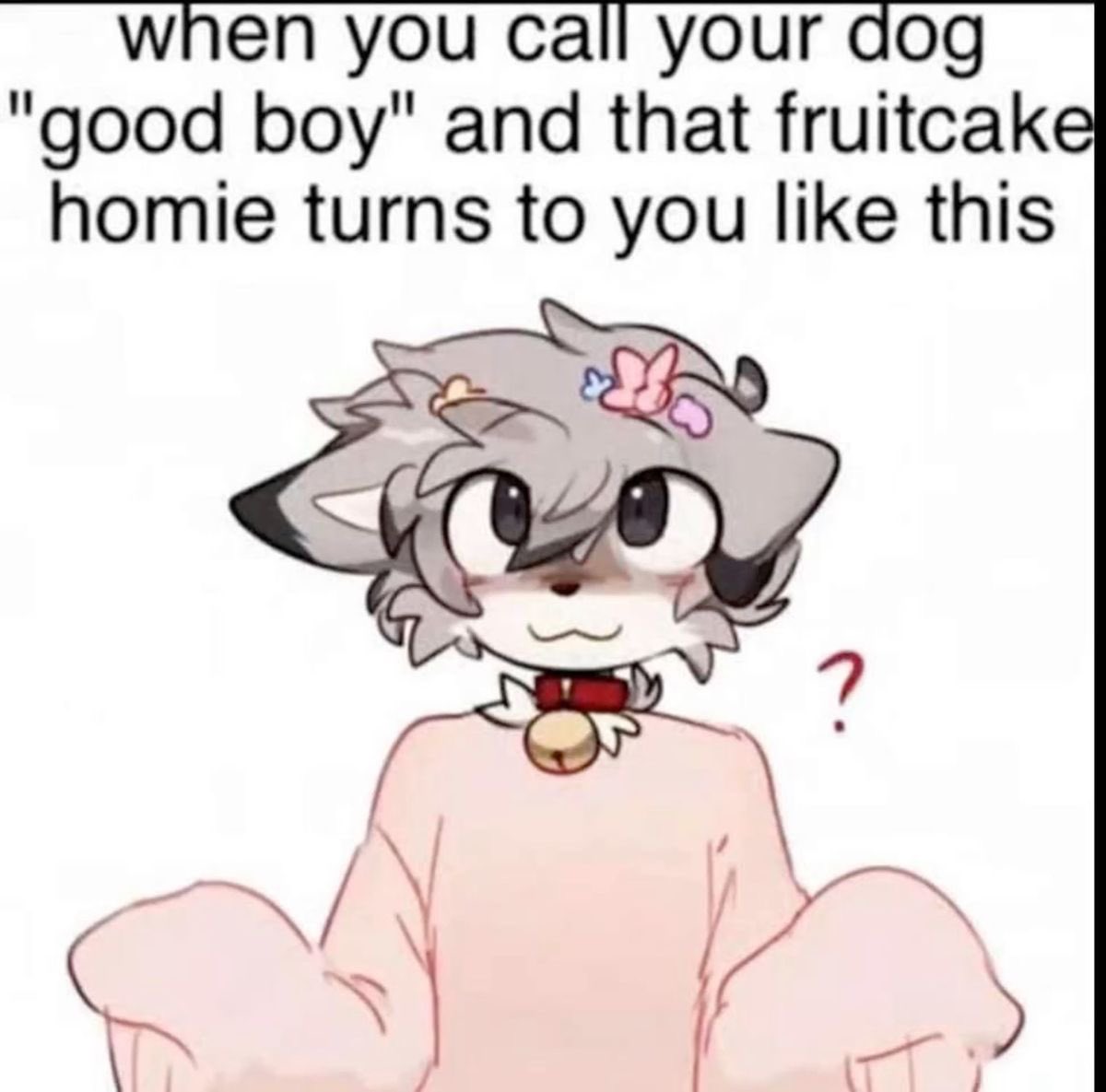 gayfluffypaws's tweet photo. https://t.co/IhY6qdrzp9