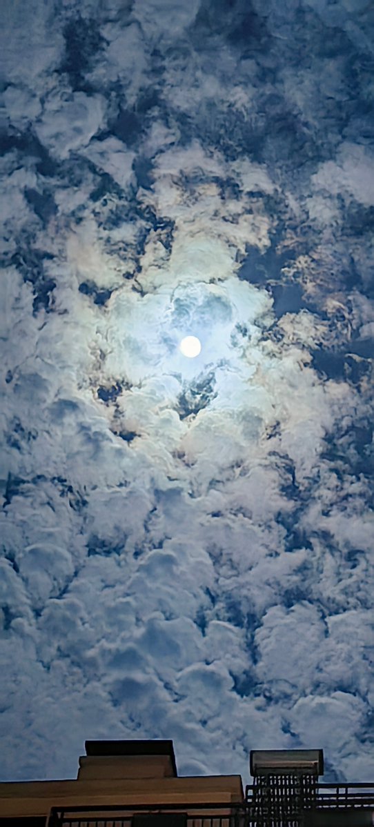 JoyRuss85119099's tweet photo. “Cheers to the full moon u0026 Mid-Autumn glow—may your mooncakes be sweet, your heart be full, and warmth fill every corner tonight ”， https://t.co/3roAzXtTT8