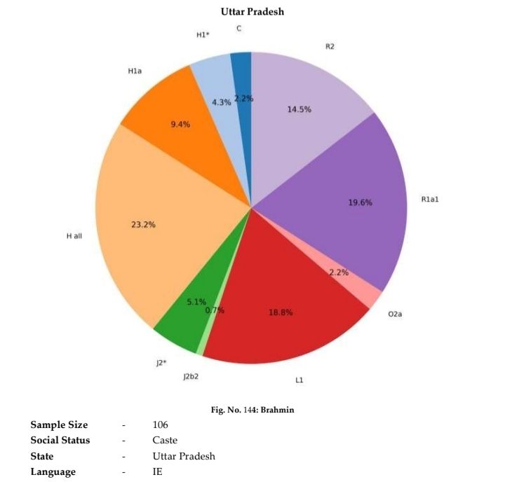 User134dwvu's tweet photo. Haplogroups of Bhumihar and Bramhins according to:

Search Results for “Y haplogroups of different castes” – INDIAN JOURNAL OF ARCHAEOLOGY 

https://t.co/3QfuNci7XZ https://t.co/7WGfCejt2a