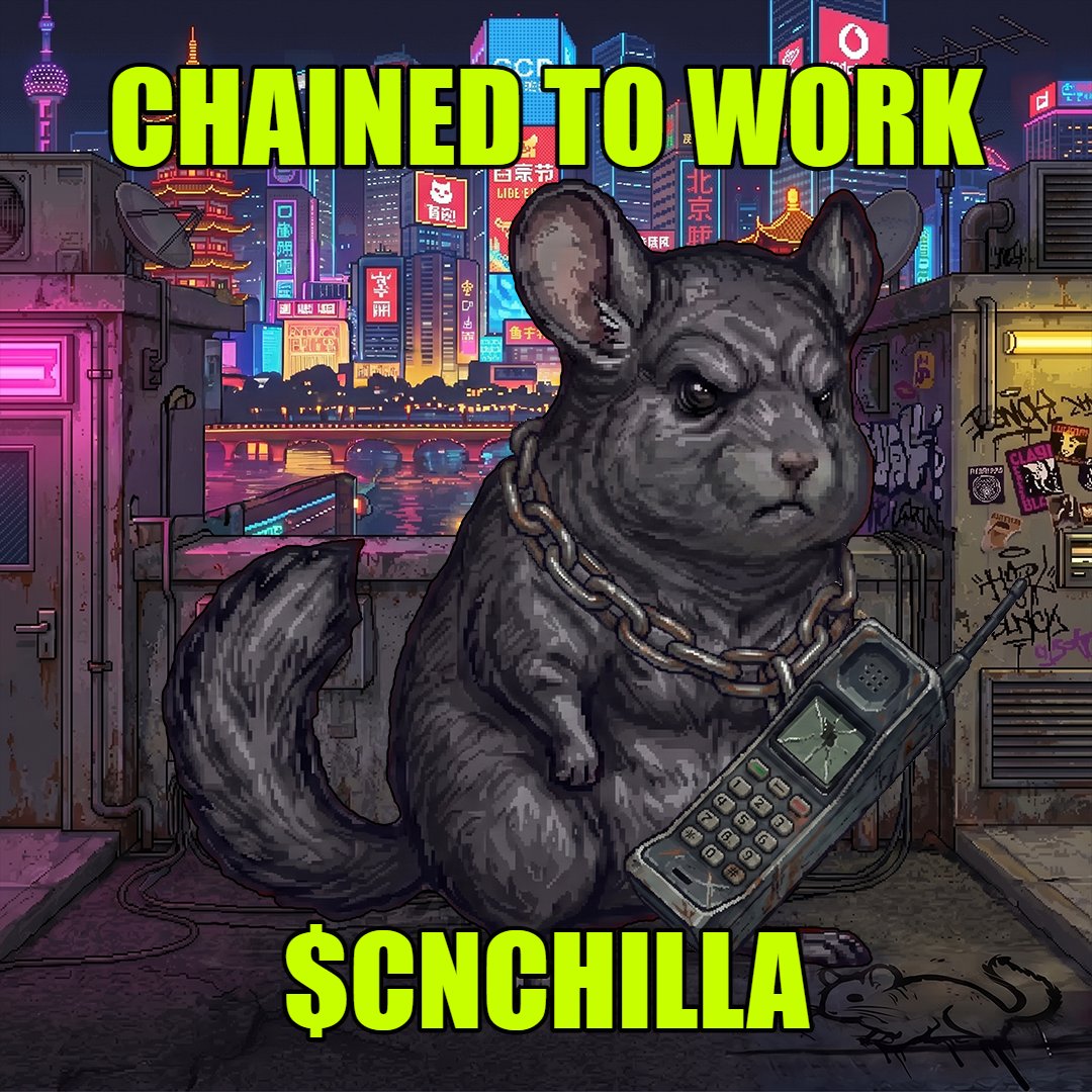 $CNCHILLA tweet media