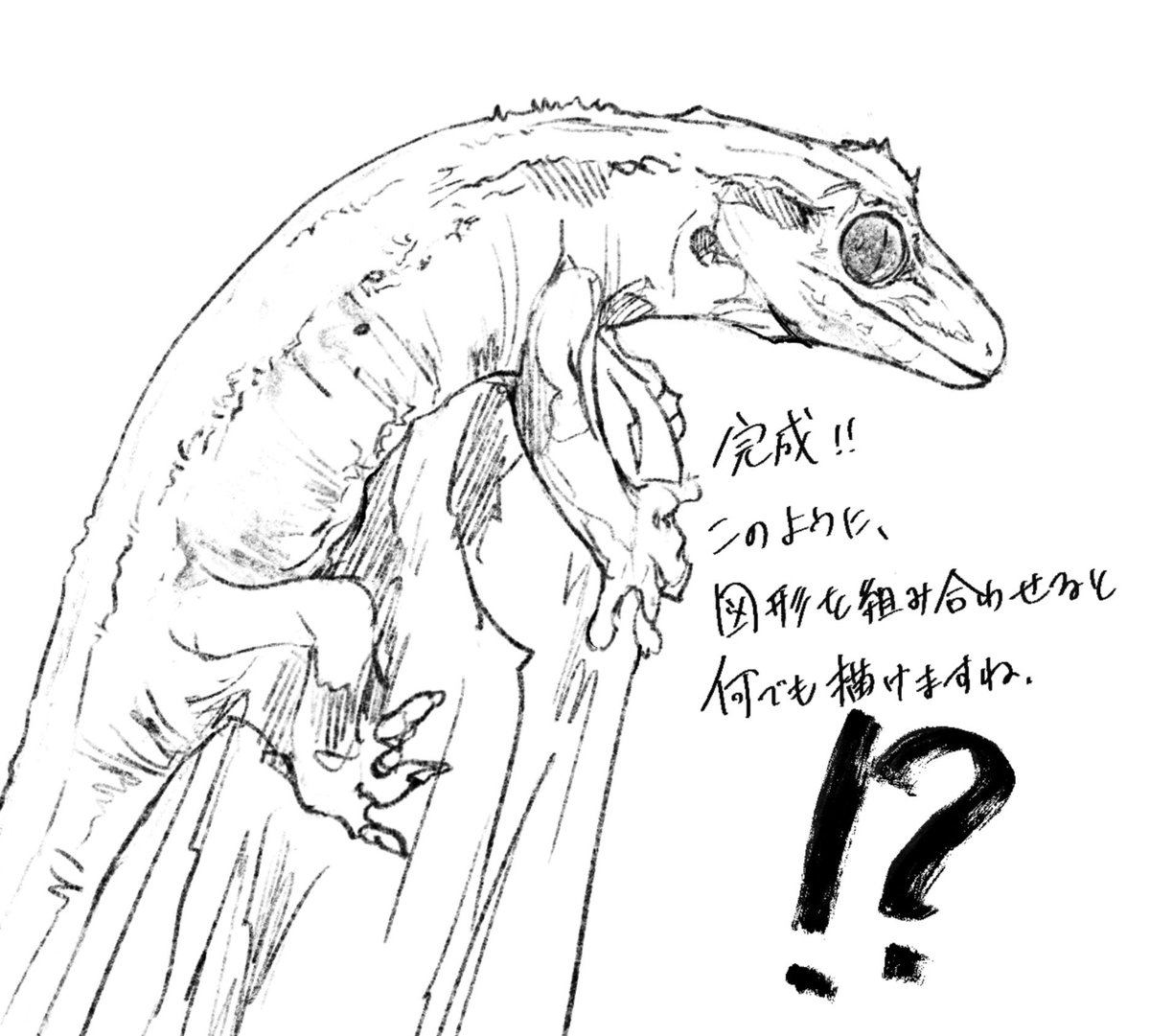 riseidokokana's tweet photo. 初心者向けと見せかけた上級者向けのハウツー本を買ってしまった時 https://t.co/kAxHSnNzyU