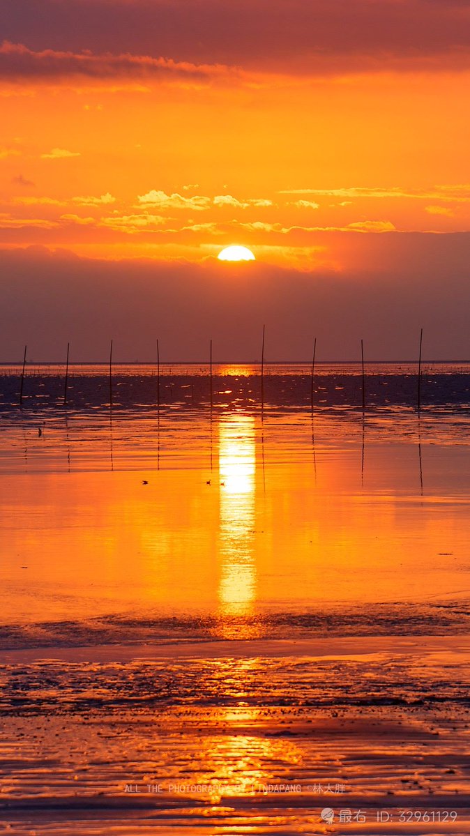 VlachovaLibuse's tweet photo. [Our campus photography club is hosting a sunset shooting contest this Friday 5PM at the Central Lake! Beginners are super welcome—bring your phone or camera, share your creative shots, win small gifts. Tag a friend who loves taking photos! ]， https://t.co/vH4nhiNdbr