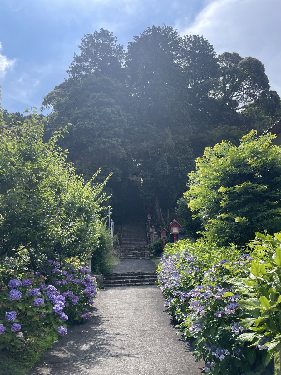 tsuchitoteto's tweet photo. SPAC『ニホンジン』は、６月にプレ稽古がありました。演出家や出演者だけでなく公演に関わるスタッフみんなで台本について話したり、日系ブラジル人の方にお話を伺ったり、ワクワクする創作現場です。
日本人とは？移民とは？ここ数年引っかかっている言葉を沢山の方とお話しして考えていきたいです。 https://t.co/OGIixVOOX2