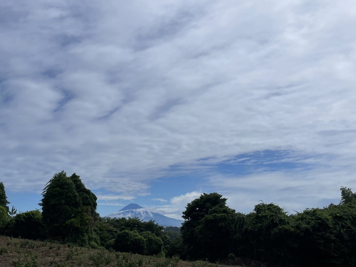 tsuchitoteto's tweet photo. SPAC『ニホンジン』は、６月にプレ稽古がありました。演出家や出演者だけでなく公演に関わるスタッフみんなで台本について話したり、日系ブラジル人の方にお話を伺ったり、ワクワクする創作現場です。
日本人とは？移民とは？ここ数年引っかかっている言葉を沢山の方とお話しして考えていきたいです。 https://t.co/OGIixVOOX2