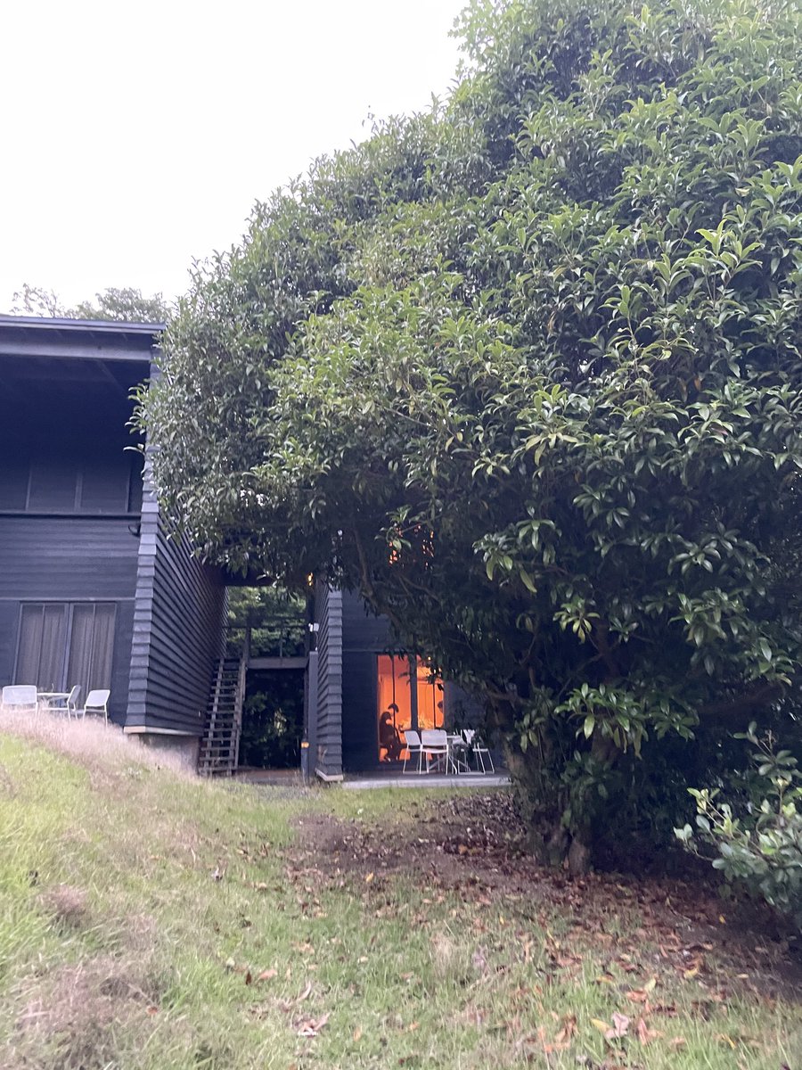 tsuchitoteto's tweet photo. SPAC『ニホンジン』は、６月にプレ稽古がありました。演出家や出演者だけでなく公演に関わるスタッフみんなで台本について話したり、日系ブラジル人の方にお話を伺ったり、ワクワクする創作現場です。
日本人とは？移民とは？ここ数年引っかかっている言葉を沢山の方とお話しして考えていきたいです。 https://t.co/OGIixVOOX2